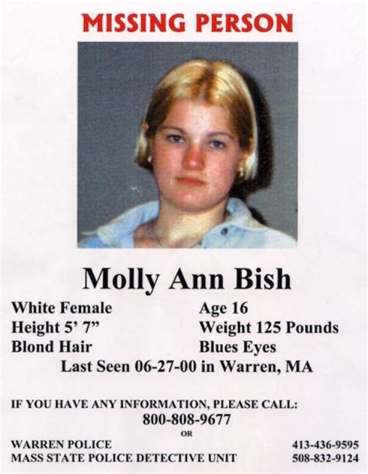 Who killed Molly Bish? A closer look at three men investigators have