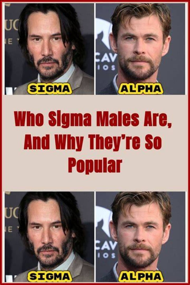 Who Sigma Males Are, and Why They&rsquo;re So Popular / Bright Side