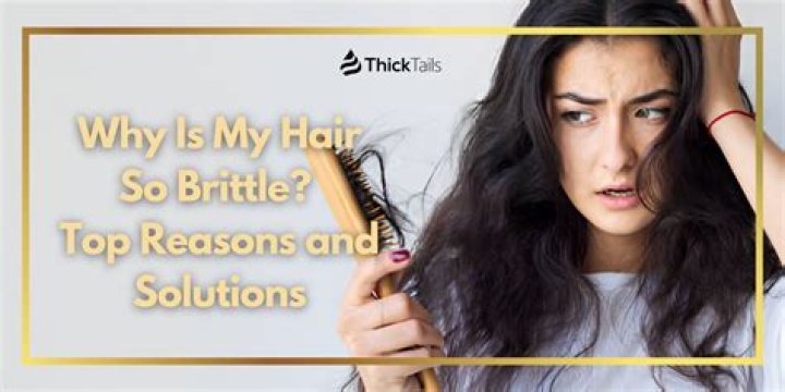 Why is my hair brittle and dry? What hair says about your health