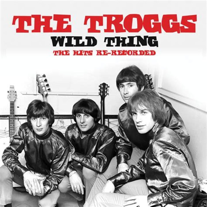 Wild Thing by The Troggs Guitar Chords/Lyrics Guitar Instructor