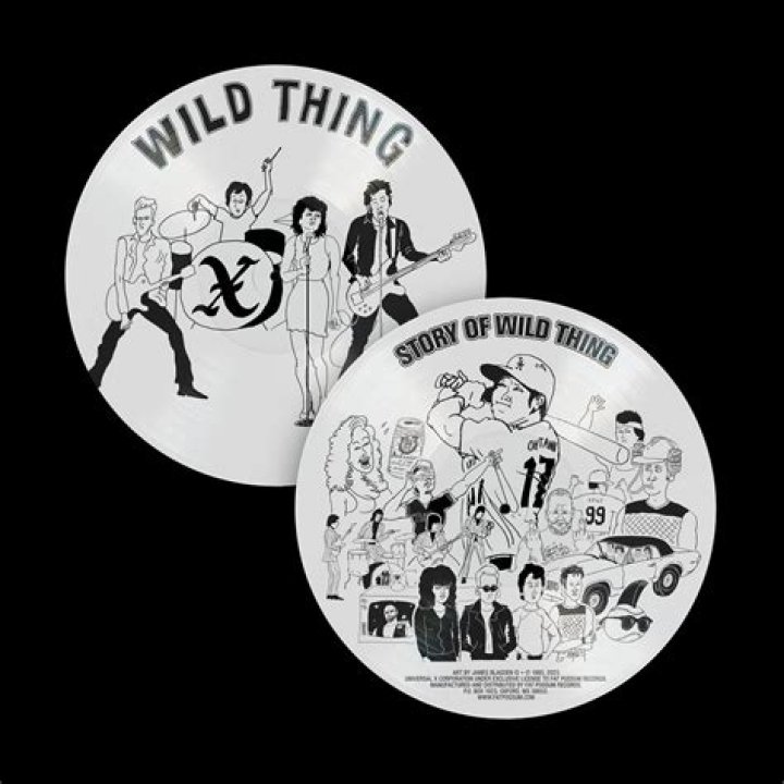 Wild thing X original vinyl LP12 inch single 33 1/3 eBay