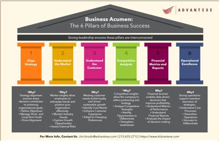 WISSAM AL MANA'S Business Acumen And Investments