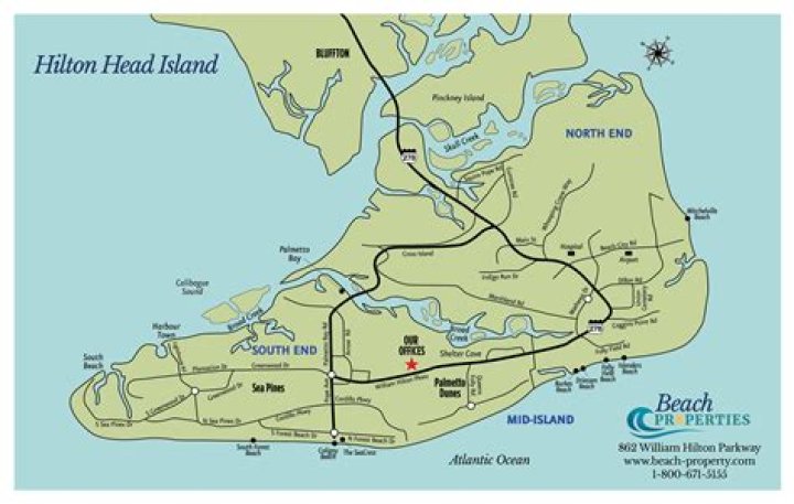 Witness The Horror: Shark Assault On Hilton Head's Shores