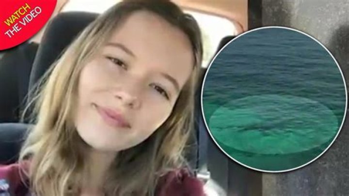 Woman killed by sharks while snorkeling tried to swim back to boat with