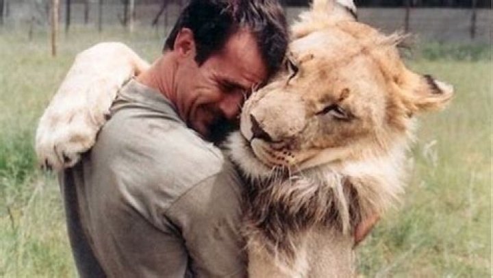 World&rsquo;s Finest Lion Whisperer Kevin Richardson Save Our Green