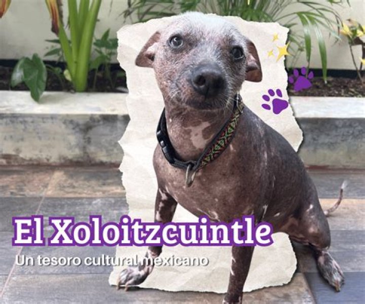 Xolo Maridue&ntilde;a se declara para Bruna Marquezine